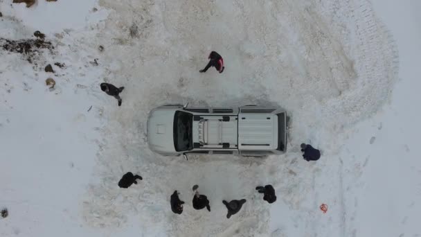 Coche Está Atrapado Nieve Vehículo Varado Nieve Gente Tratando Ayudar — Vídeo de stock