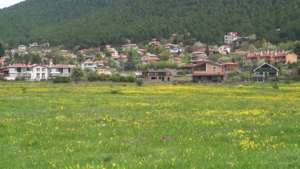 Campos Flores Amarelas Perto Das Casas Rurais Rurais Vila Floresta — Vídeo de Stock