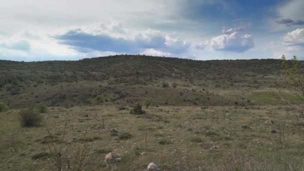 Entre Invierno Primavera Las Nieves Derritieron Pero Las Hierbas Aún — Vídeos de Stock