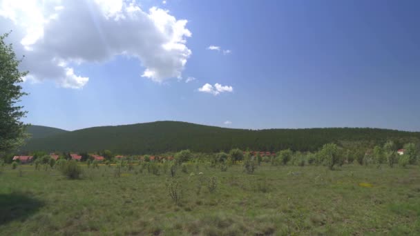 Villaggio Forestale Dietro Fiori Gialli Una Pineta Dietro Villaggio Padella — Video Stock