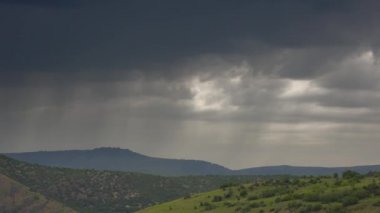 Buluttan sarkan yağmur. Fırtına bulutlarından yağış düşüyor. Yağışlar zaman aşımına uğradı. Karanlık ve örtülü gökyüzü. Uzun mesafe yağmuru hat çizer. Bir tepedeki seyrek orman. Çalılar, çalılar, rüzgar fırtınası, çalılar, çalılar, çalılar. 4k