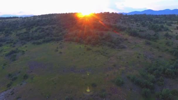 Novo Dia Começa Campo Tempos Manhã Cedo Natureza Nascer Sol — Vídeo de Stock