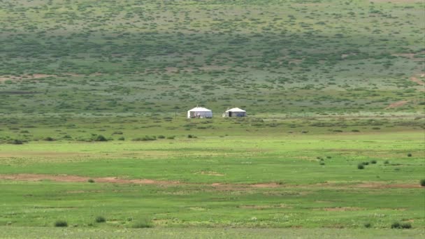 中亚大草原上的游牧民族 乌兹别克斯坦和哈萨克斯坦边境的两个白色和灰色帐篷 传统酸奶架手提式圆形帐篷游牧民族的感觉游牧民族的草原亚洲广阔无限4K — 图库视频影像