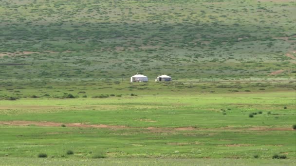 Yurts Stepele Din Asia Centrală Două Corturi Culoare Albă Gri — Videoclip de stoc