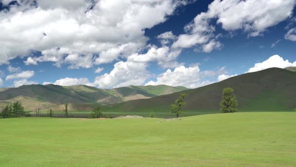 Central Asian Steppes Central Asia Eurasian Hill Hilly Grassland Prairie — Stockvideo