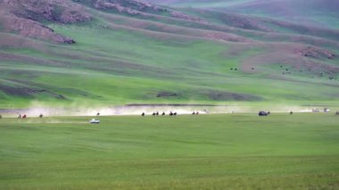 Doğada uzun mesafe at yarışı. Çayırda koşan atlar. Başlangıçtan önce geleneksel Moğol at yarışı. Yarış atları güçlü, hızlı esnek. Pasture sporu sade çim sürat kısa süren yavaş koşular sonrası başlamadan önce 4k 'ı takip eder.
