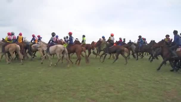Távolsági Lóverseny Természetben Lovak Szaladgálnak Réten Hagyományos Mongol Lóverseny Indulás — Stock videók