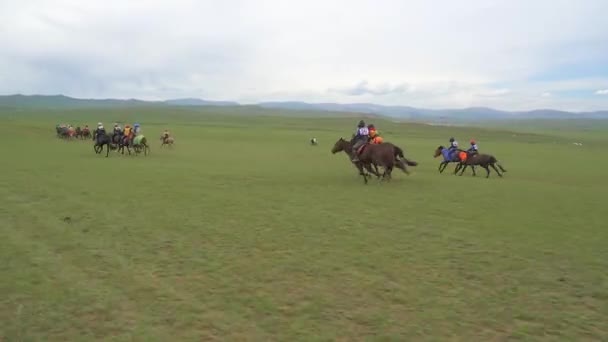 Doğada Uzun Mesafe Yarışı Çayırda Koşan Atlar Başlangıçtan Önce Geleneksel — Stok video