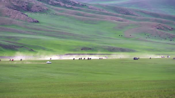 Långväga Hästkapplöpningar Naturen Hästar Som Springer Ängen Traditionell Mongolisk Hästkapplöpning — Stockvideo