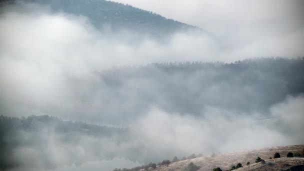 Cinemática 7680X4320 Aire Brumoso Desaparece Sobre Lago Capa Nublada Nublas — Vídeos de Stock