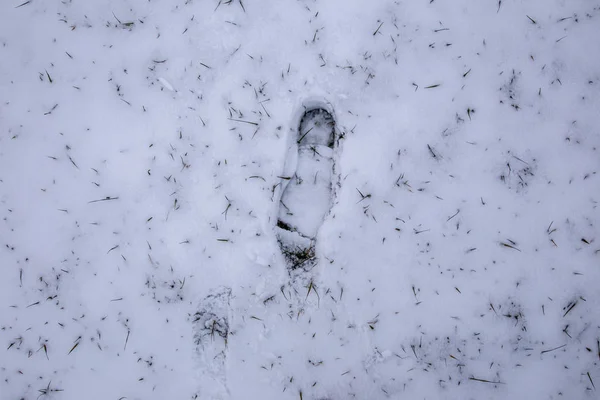 Tracce Scarpe Sulla Neve Appena Caduta Modo — Foto Stock