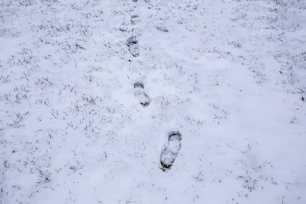 Vestígios Sapatos Neve Recém Caída Maneira — Fotografia de Stock