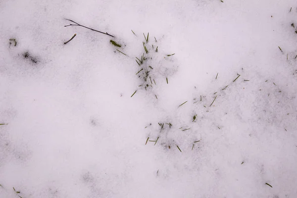 Textura Grama Seca Seca Rompendo Neve Descongelada Vista Superior Inverno — Fotografia de Stock