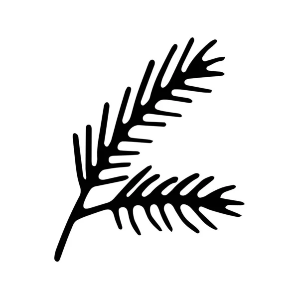Handritad svart och vitt klotter skiss gran gren illustration. — Stock vektor