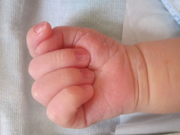 Newborn baby hand. — Stock Photo, Image