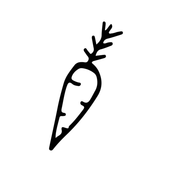 Esboço de doodle de cenoura preto e branco . —  Vetores de Stock