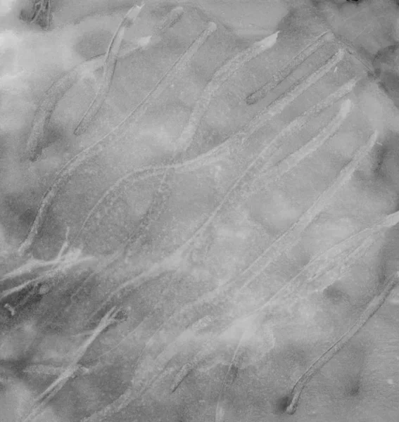 Чорно-білий акварельний фон — стокове фото