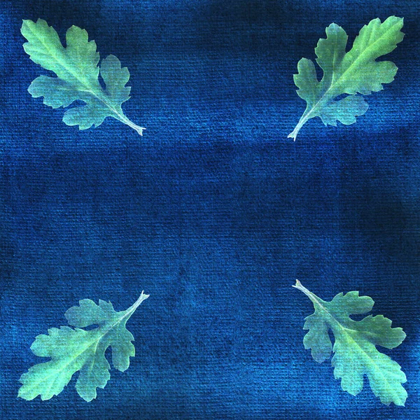 Дубове Листя Синьому Акварельному Фоні Прикрашений Картка Рамка — стокове фото