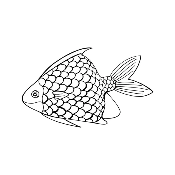 Illustrazione Dello Schizzo Scarabocchio Pesce Bianco Nero Mondo Sottomarino Animali — Vettoriale Stock