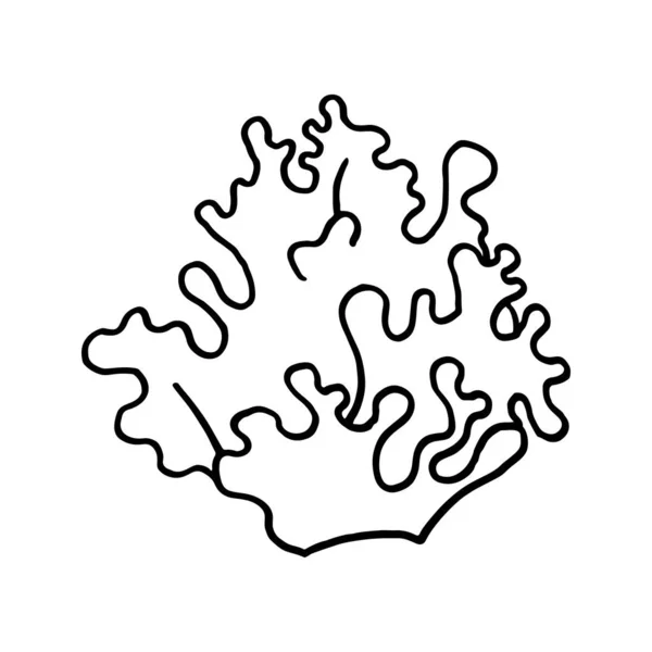 Schizzo Scarabocchio Corallo Bianco Nero Illustrazione Vettoriale Libro Colorare Carta — Vettoriale Stock