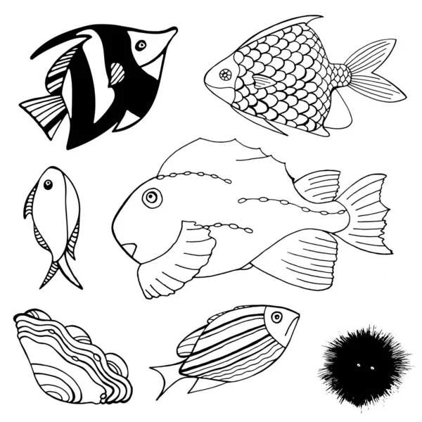 Schwarz Weißes Set Von Zeichentrickfischen Illustration Von Fischen Muschel Und — Stockvektor