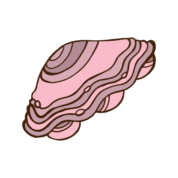 Kézzel Rajzolt Elszigetelt Rózsaszín Kagylóvektor Illusztráció Matricához Inghez — Stock Vector