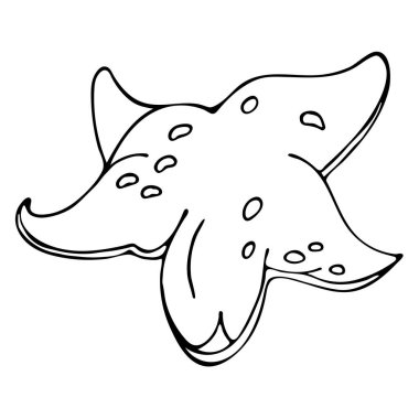 Siyah ve beyaz deniz yıldızı vektör karalama karikatürü çizimi. Panorama, baskı, tişört, çocuk, bebek, yüzme havuzu, oyun, uygulama ve çıkartmalar için beyaz arka planda izole edilmiş su altı nesnesi..