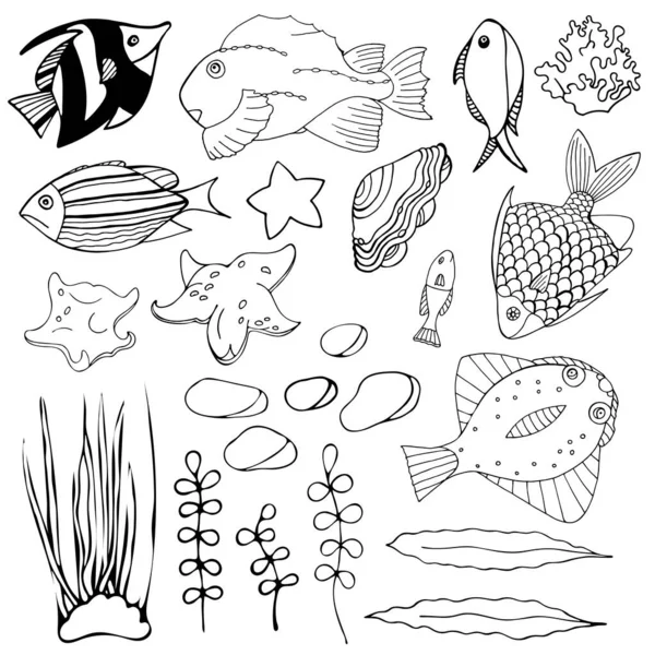 Conjunto Peces Dibujos Animados Acuario Algas Marinas Concha Marina Piedras — Vector de stock