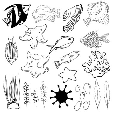 Akvaryum karikatür balığı seti, yosun, deniz kabuğu ve taşlar. Beyaz arkaplandaki izole nesneler. Oyun, uygulama, bayrak, yüzme havuzu, baskı, çocuklar ve çıkartmalar için sualtı dünyasının sakinleri.
