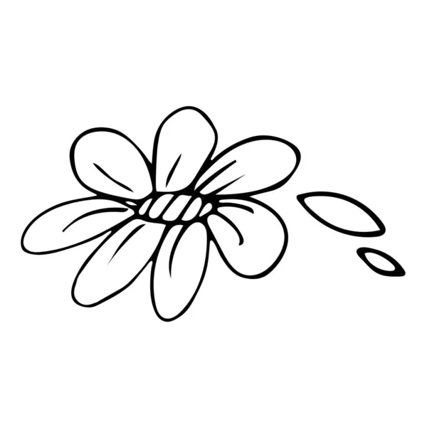 Blanco Negro Sola Flor Doodle Sketch Ilustración Aislada Dibujada Mano — Vector de stock