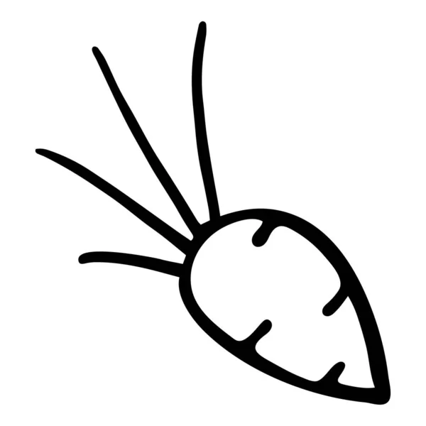 Ασπρόμαυρη Απεικόνιση Σκίτσο Καρότου — Διανυσματικό Αρχείο
