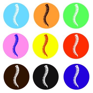 Vektör iç organ simgeleri ayarlandı. Farklı renklerin omurgası