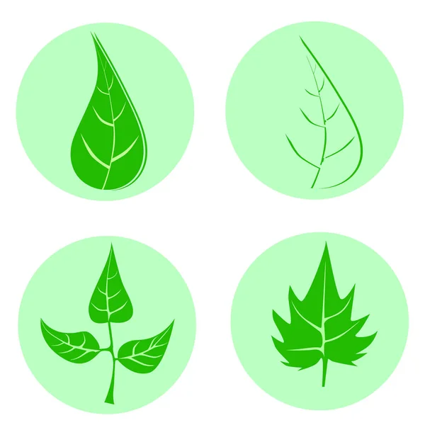 Set von grünen Blättern Design-Elemente. Dieses Bild ist eine Vektorillustration. — Stockvektor