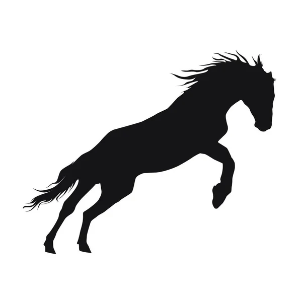 rearing horse fine vector silhouette - black over white.EPS 10