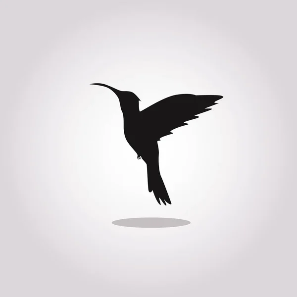 Colibri vector icoon op witte achtergrond. Flat vector colibri pictogram teken van moderne dieren collectie voor mobiele concept en web apps ontwerp. — Stockvector