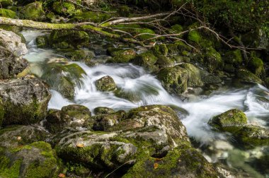 Suda yosun ve ipek etkisi olan yüksek dağ suyu seli