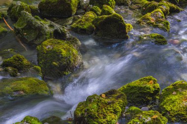 Suda yosun ve ipek etkisi olan yüksek dağ suyu seli