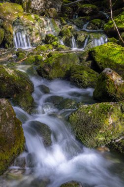 Suda yosun ve ipek etkisi olan yüksek dağ suyu seli