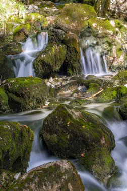Suda yosun ve ipek etkisi olan yüksek dağ suyu seli
