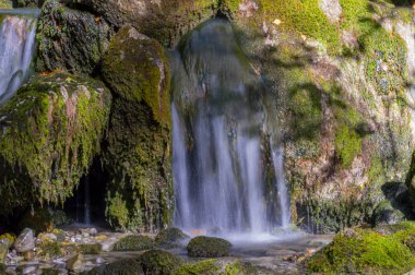 Suda yosun ve ipek etkisi olan yüksek dağ suyu seli