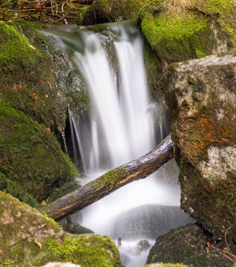 Suda yosun ve ipek etkisi olan yüksek dağ suyu seli