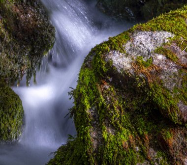Suda yosun ve ipek etkisi olan yüksek dağ suyu seli
