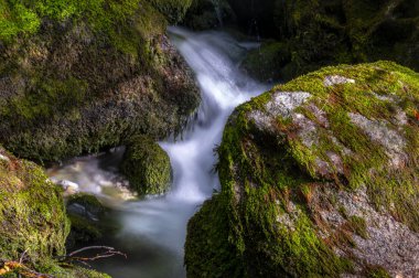 Suda yosun ve ipek etkisi olan yüksek dağ suyu seli