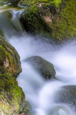 Suda yosun ve ipek etkisi olan yüksek dağ suyu seli