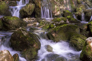 Suda yosun ve ipek etkisi olan yüksek dağ suyu seli