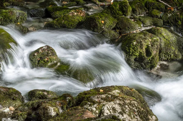 Potok Wysokiej Wody Górskiej Mchem Efektem Jedwabiu Wodzie — Zdjęcie stockowe