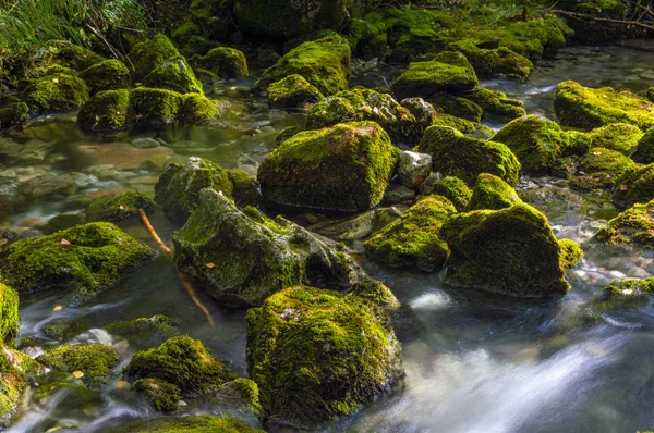 Příval Vysoké Horské Vody Mechem Hedvábným Efektem Vodě — Stock fotografie