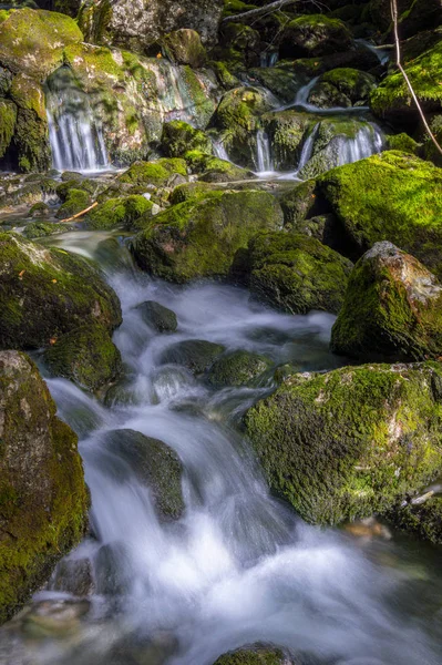 Torrent Eau Haute Montagne Avec Effet Mousse Soie Dans Eau — Photo