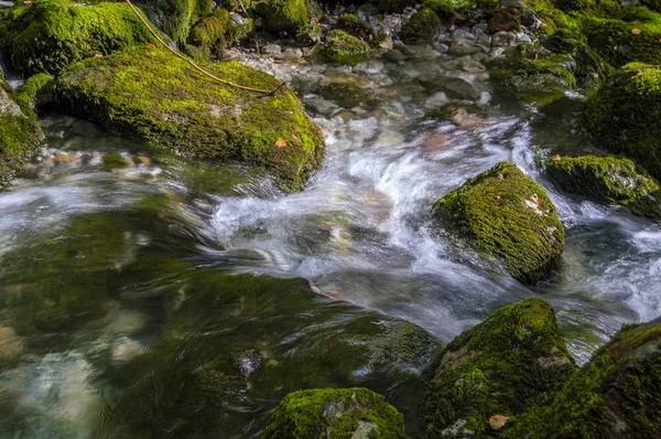 Torrent Eau Haute Montagne Avec Effet Mousse Soie Dans Eau — Photo