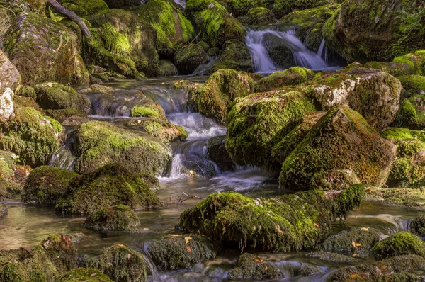 Příval Vysoké Horské Vody Mechem Hedvábným Efektem Vodě — Stock fotografie